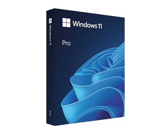 Download Windows 11 ISO 22H2 standard version 64-bit